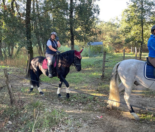 En Selle pour une Balade Relaxante! Rien de Mieux pour le Bien-Être de Mon Cheval que de Lui Offrir un Peu d'Exercice en Pleine Nature
