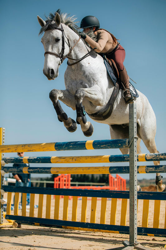 Cheval gris et sa cavalière sautant un obstacle