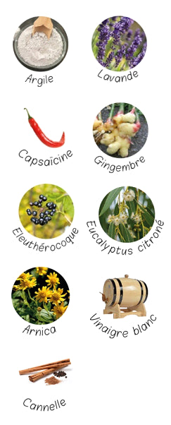Photo des plantes qui entrent dans la composition de la pâte d'argile détox et drainante Nutragile