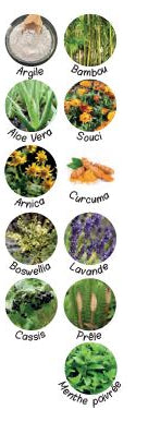 Image des plantes qui entrent dans la composition de la pâte d'argile Effort Intense