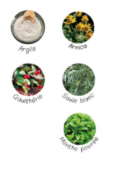 Plantes composant la pâte d'argile soulage