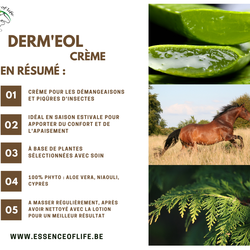 Fiche descriptive des bienfaits de la crème anti-démangeaison Derm'eol