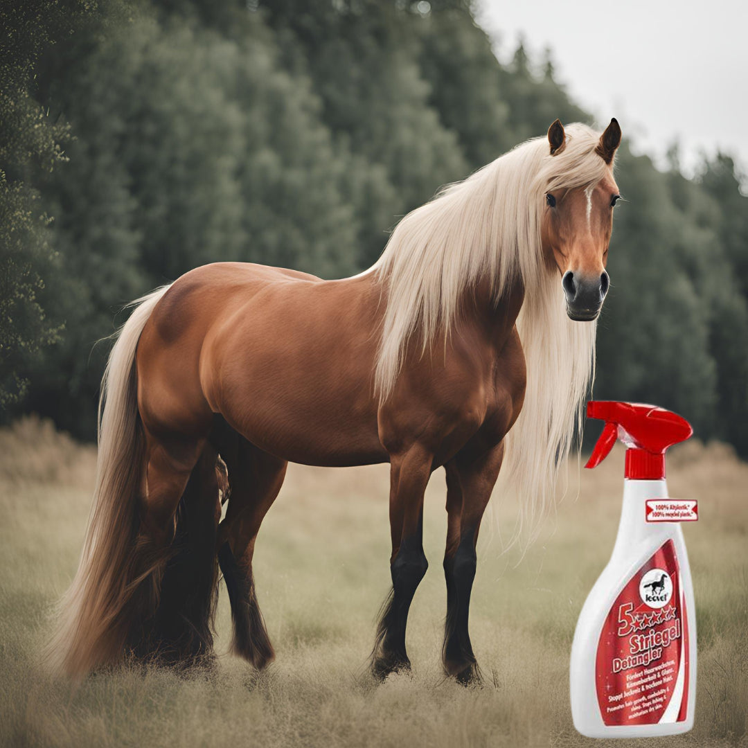 Photo d'un cheval a la longue crinière blonde pour présenter le démêlant Leovet