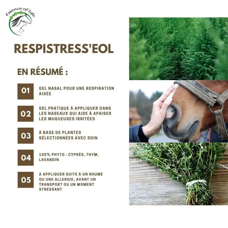 Ingrédients naturels Respistress'eol gel nasal : Cyprès pour le stress et Thym pour la respiration cheval