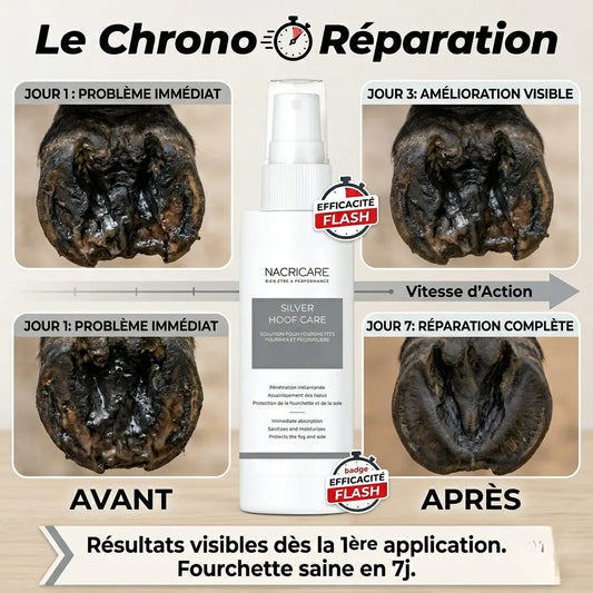 Chronologie de guérison d'un sabot avec Silver Hoof Care en 7 jours.