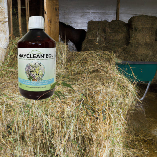 Composition naturelle Hayclean'eol extraits Laurier Pin Maritime Eucalyptus Palmarosa