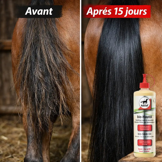 Résultat avant après application huile Hautöl Leovet sur dermite estivale.