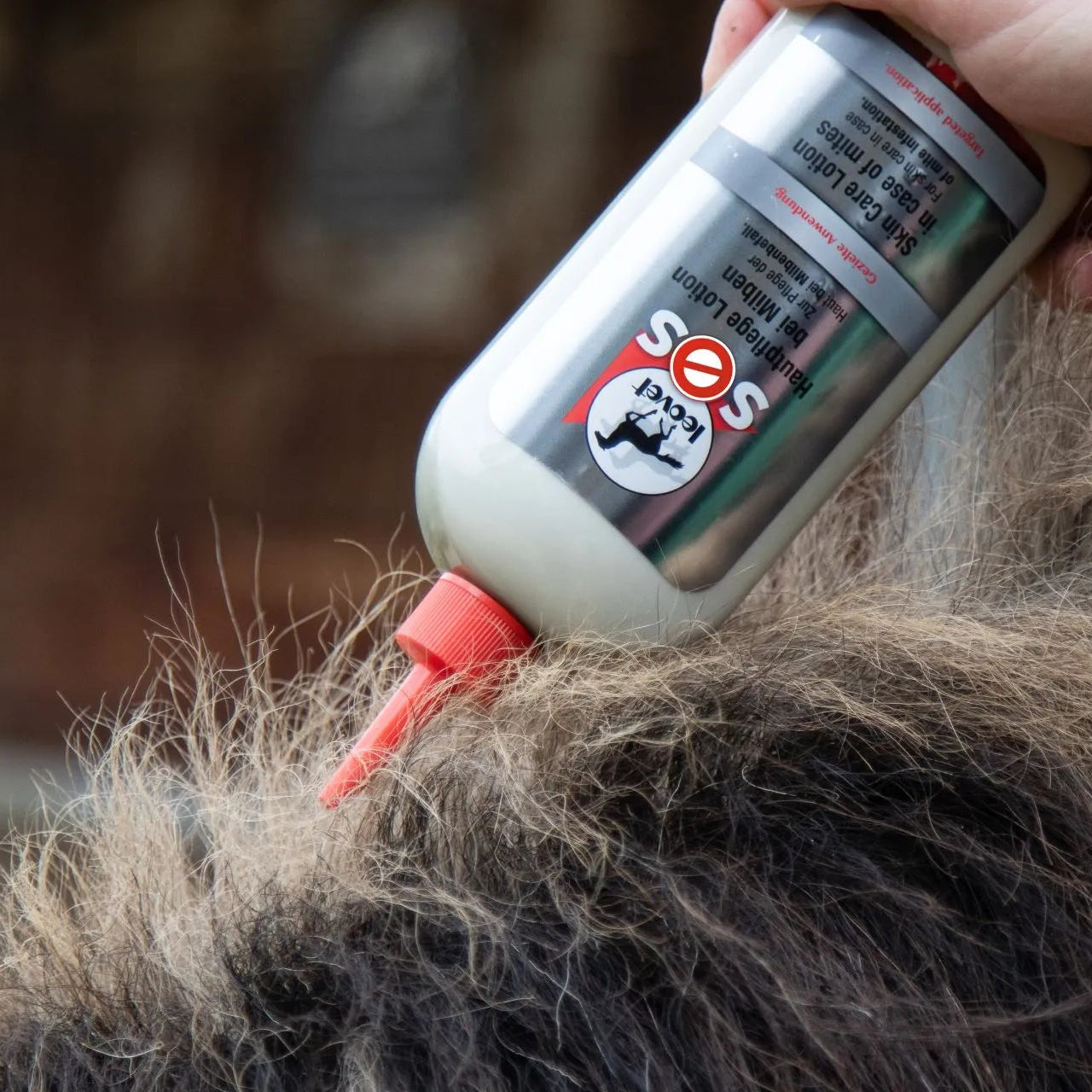 Appliquer lotion SOS Leovet sur crins de cheval irrite pour calmer la dermite