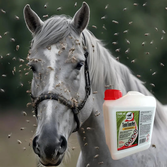 Présentation d'une recharge de Tam Tam vet répulsif mouches taons moustiques de Leovet