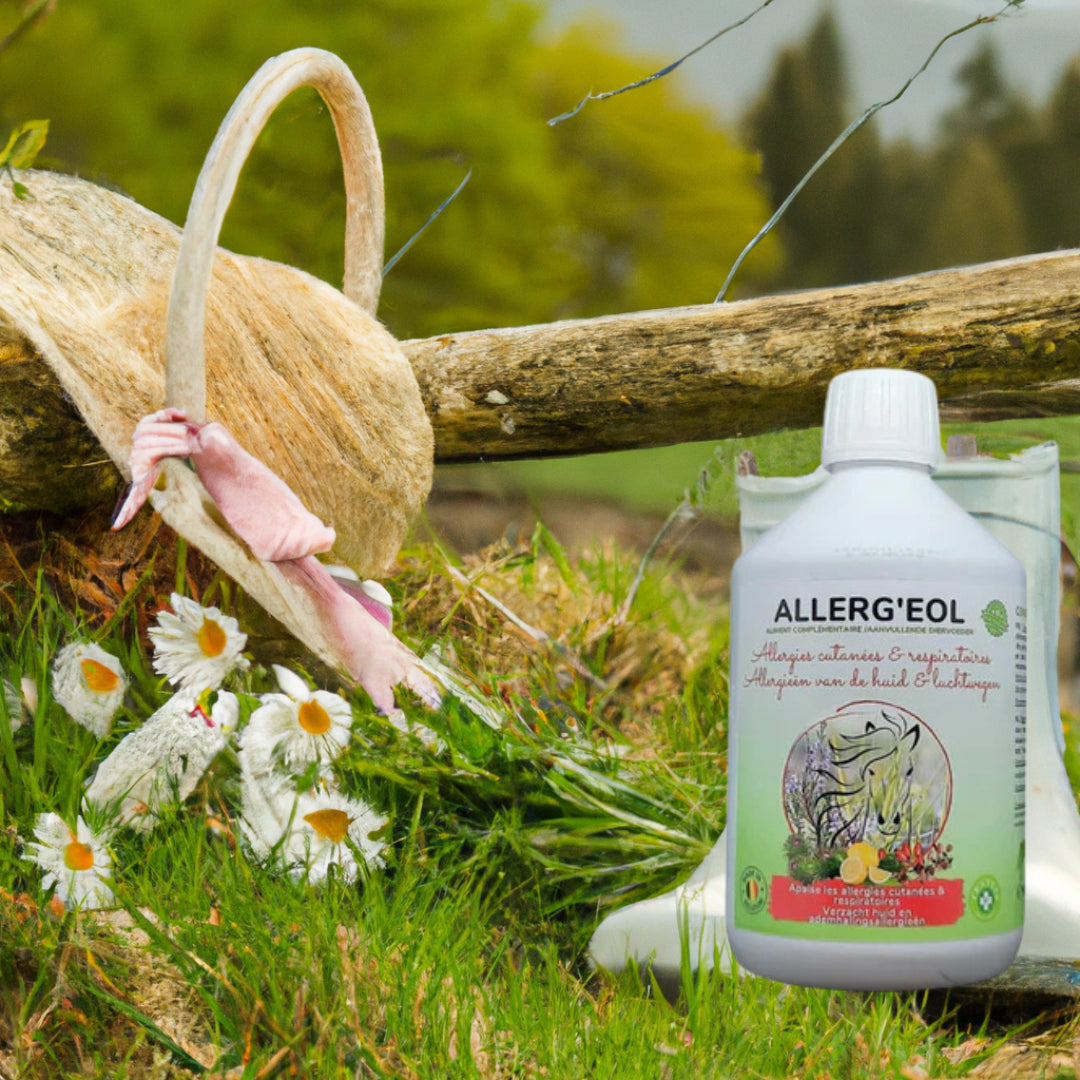Ingrédients naturels : plantes (Bardane, Épine-Vinette) composition Allerg'eol pour immunité cheval.