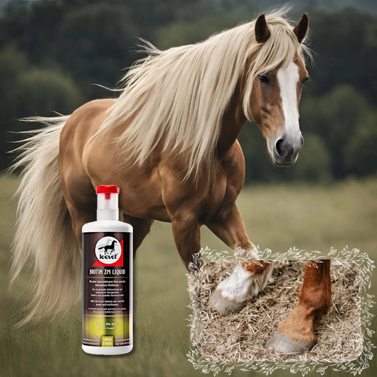 Cheval de sport avec sabots renforcés et poil brillant grâce à Leovet Biotine ZM