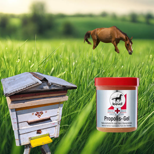 visuel avec une ruche et un cheval pour la présentation du gel cicatrisant au propolis de LEOVET