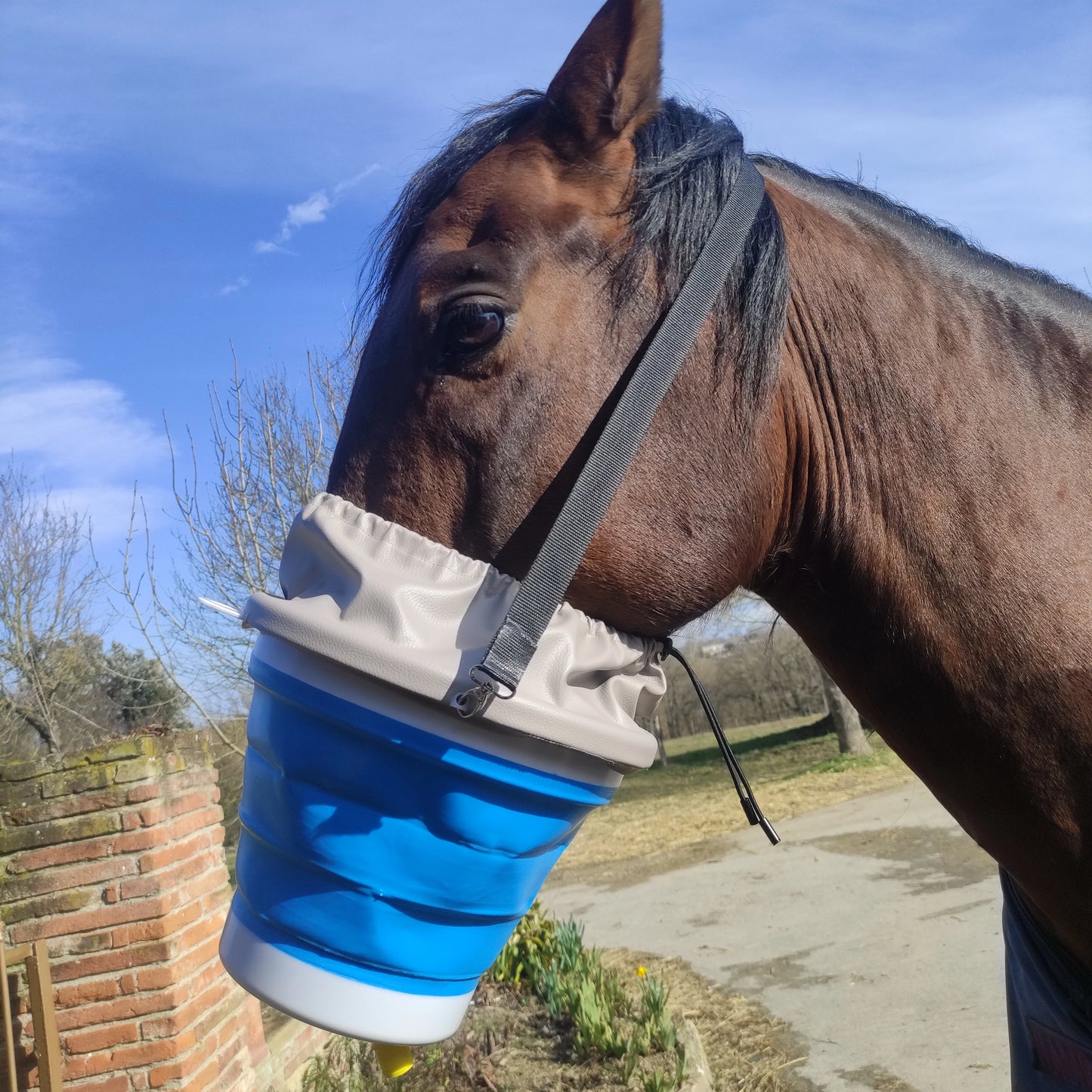 Cheval portant le masque d'inhalation avec manchon en taille full bleu