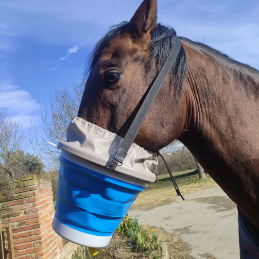 Cheval portant le masque d'inhalation avec manchon en taille full bleu