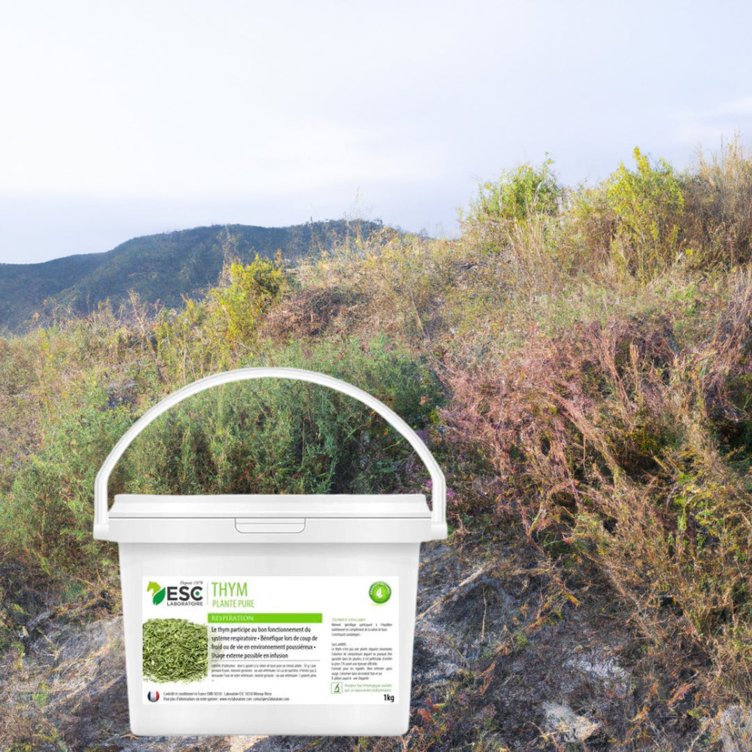 Présentation d'un seau de thym ESC dans un paysage de garrigues