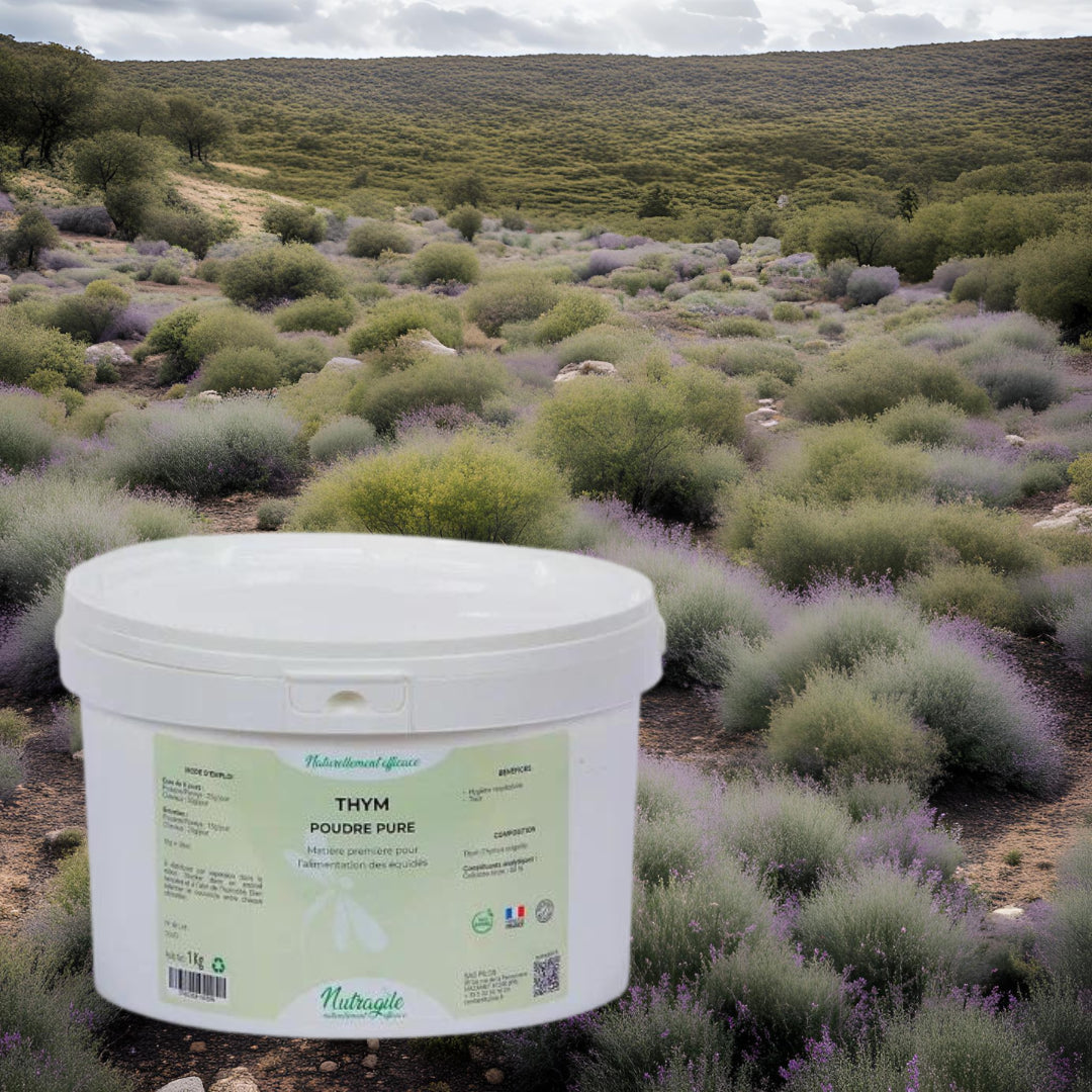 Présentation d'un seau de thym de la marque nutragile dans un paysage de garrigues