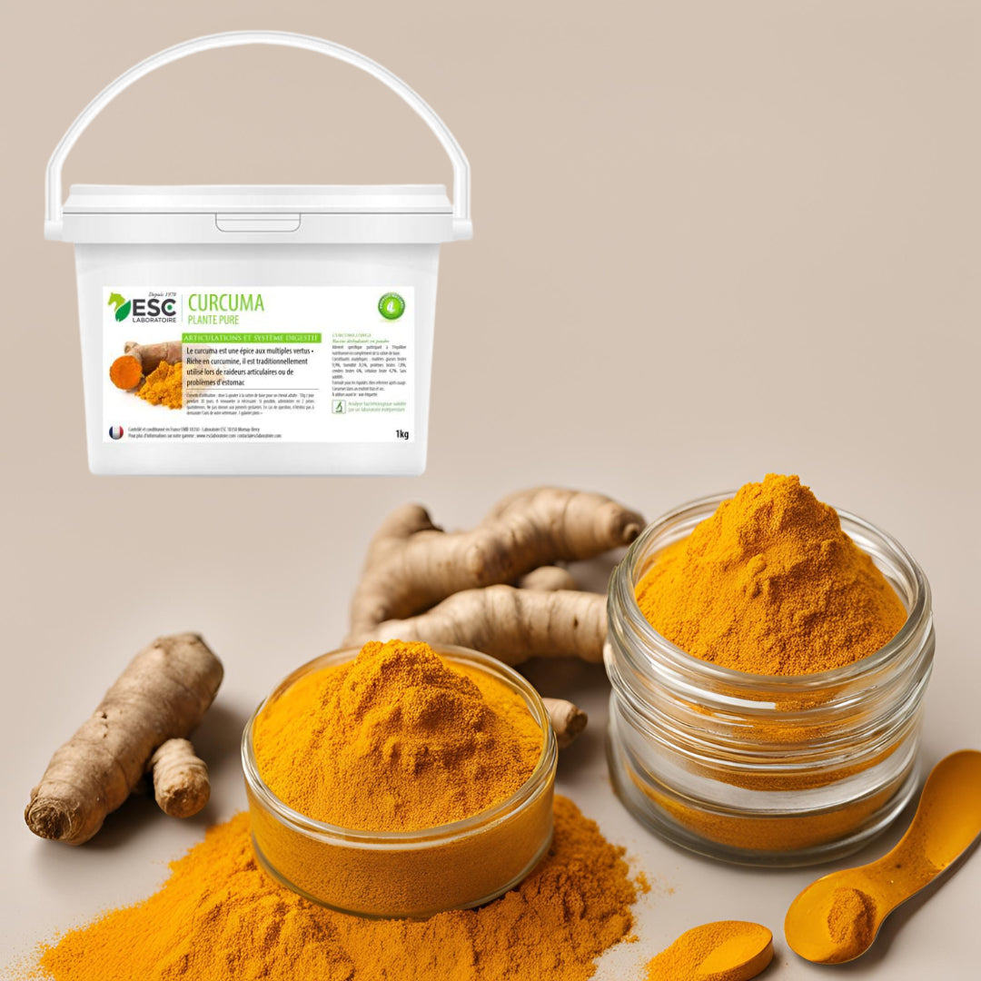 Présentation de racine et de poudre de curcuma ainsi qu'un seau de curcuma ESC