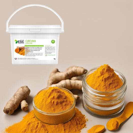 Poudre de Curcuma longa pure et antioxydante pour complément alimentaire cheval