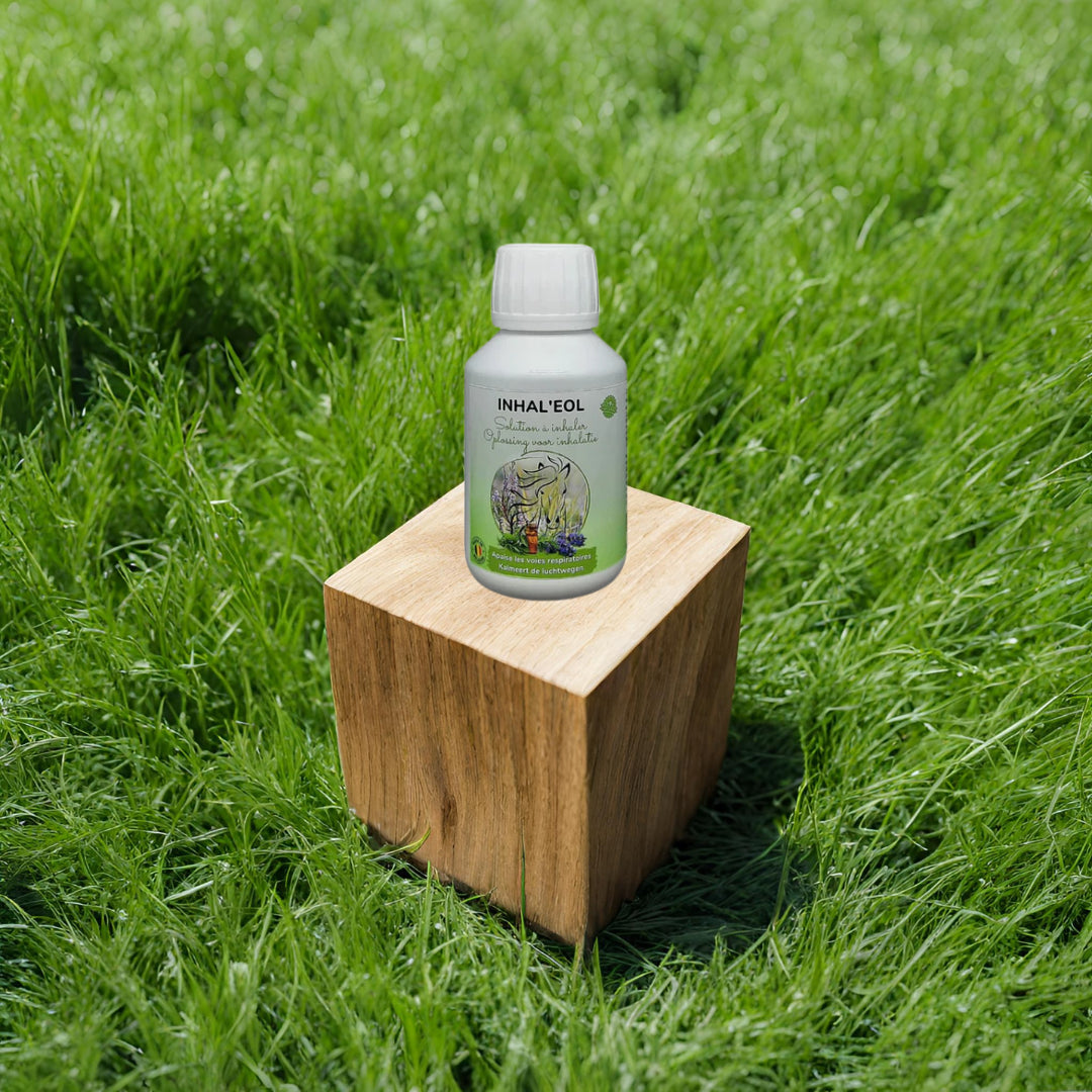 Présentation d'un flacon d'inhaleol solution contre les allergies respiratoires des chevaux