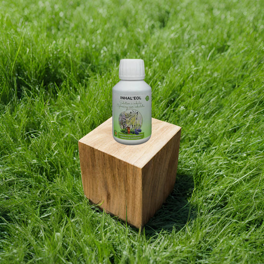 Présentation d'un flacon d'inhaleol solution contre les allergies respiratoires des chevaux