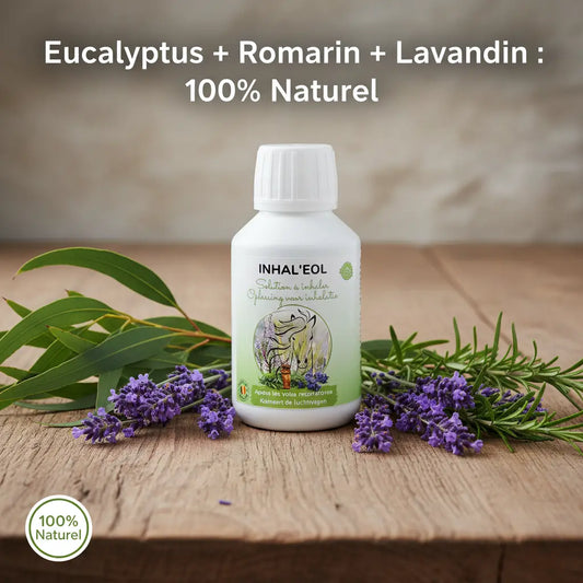 Ingrédients naturels Inhaleol : Eucalyptus, Romarin et Lavandin pour le cheval.