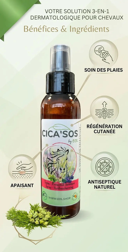 Infographie CICA'SOS EOL : Cicatrisation, Apaisement et Protection dermatologique pour chevaux, enrichie en extraits naturels.