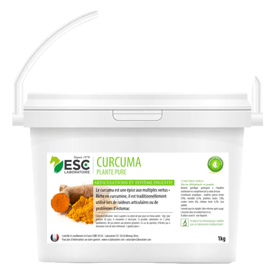 Curcuma Pur 1 Kg poudre pour cheval soutien articulations digestion formule naturelle