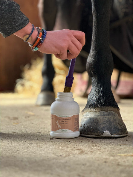 photo des pieds d'un cheval a coté d'un pot d'huile forti pied de Nutragile qui contient un pinceau