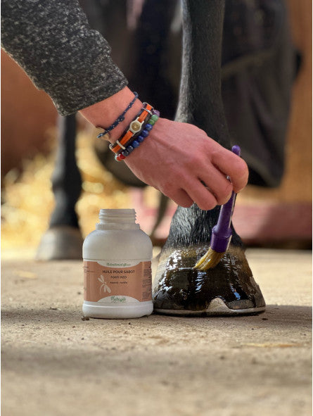 photo des pieds d'un cheval en train d'ëtre graissé à l'aide d'un pinceau avec l'huile forti pied de Nutragile