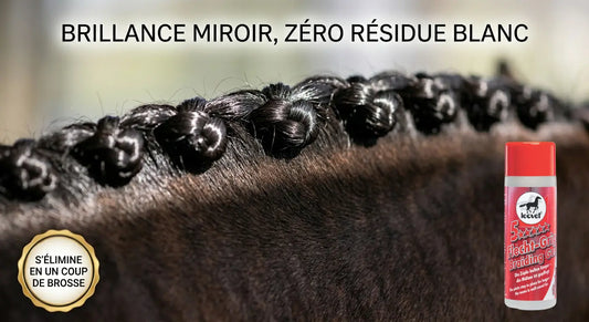 Pions de dressage brillants et sans traces blanches grâce au gel de tressage Leovet 5-Star.