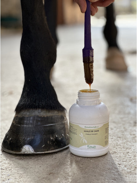 photo des pieds d'un cheval a coté d'un pot d'huile de cade Nutragile avec un pinceau qui s'égoutte