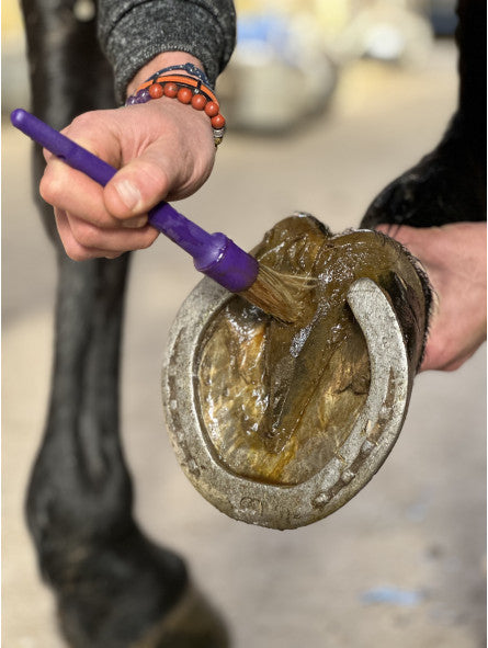 photo de la sole d'un cheval en train d’être enduite d'huile de cade Nutragile avec un pinceau