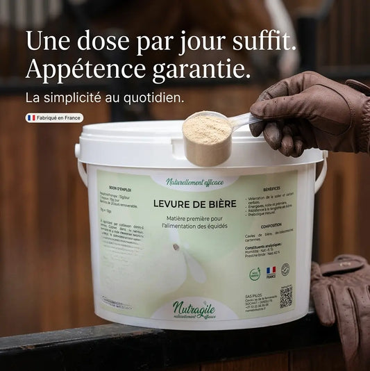 Zoom sur la poudre de levure de bière pure Nutragile pour chevaux.