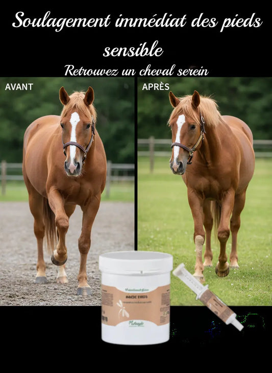 Avant-après argile Magic Pieds Nutragile pour cheval sensible.