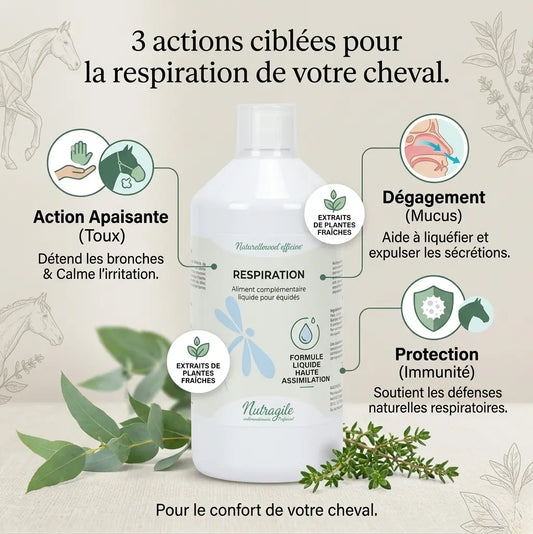 Infographie bienfaits Nutragile Respiration : apaise la toux et dégage les bronches.