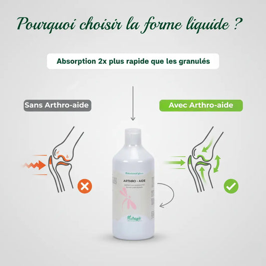 Graphique montrant la haute biodisponibilité du complément liquide pour articulations cheval.
