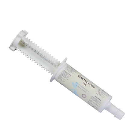 seringue-electrolytes-nutragile-60ml-sodium-potassium-cheval-competition