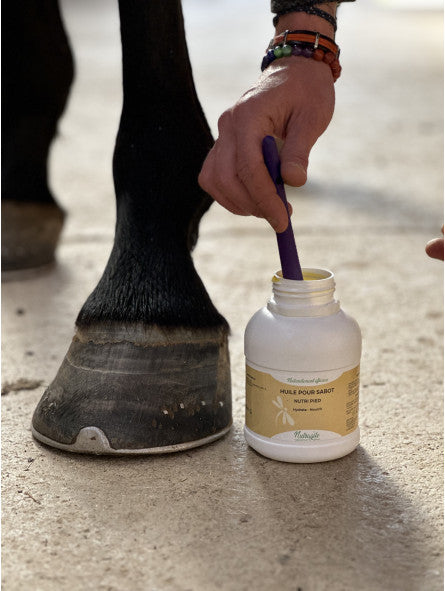 photo des pieds d'un cheval a coté d'un pot d'huile nutri pied de Nutragile et d'un pinceau