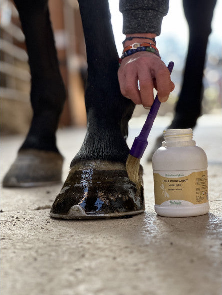 photo des pieds d'un cheval en train d'être graissé avec l'huile nutri pied de Nutragile