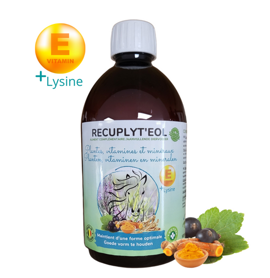 Flacon de 500ml d’aliment complémentaire pour cheval et poney en solution buvable pour une préparation ou récupération optimale pendant l’effort ou après une longue maladie. Elle permet au cheval d’éliminer les toxines. Elle permet aussi de diminuer les raideurs post-exercices.