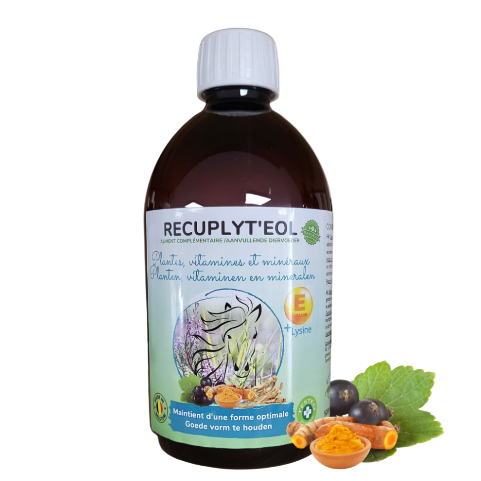 Flacon Récupéol E 500ml VETINNOV Complément liquide récupération cheval sport