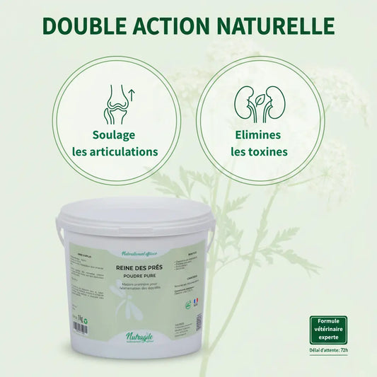 Action 2-en-1 : confort articulaire et drainage pour chevaux Nutragile.