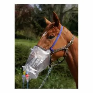 cheval full traitement respiratoire masque inhalateur HorseNeb efficace