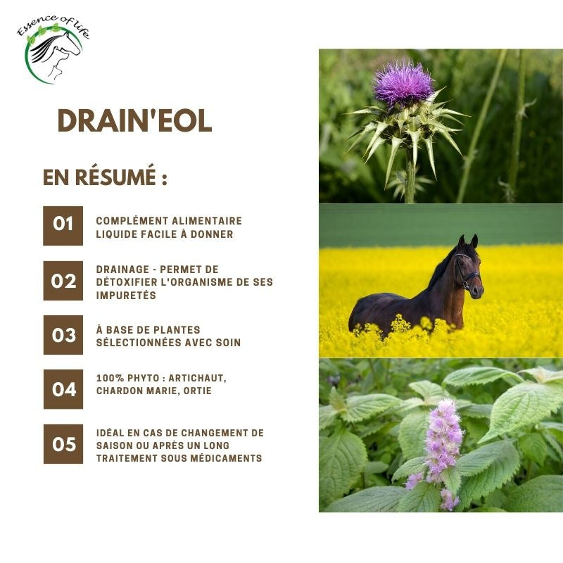 Fiche résumé des bienfaits du drainant foie et rein Drain'eol de essence of life