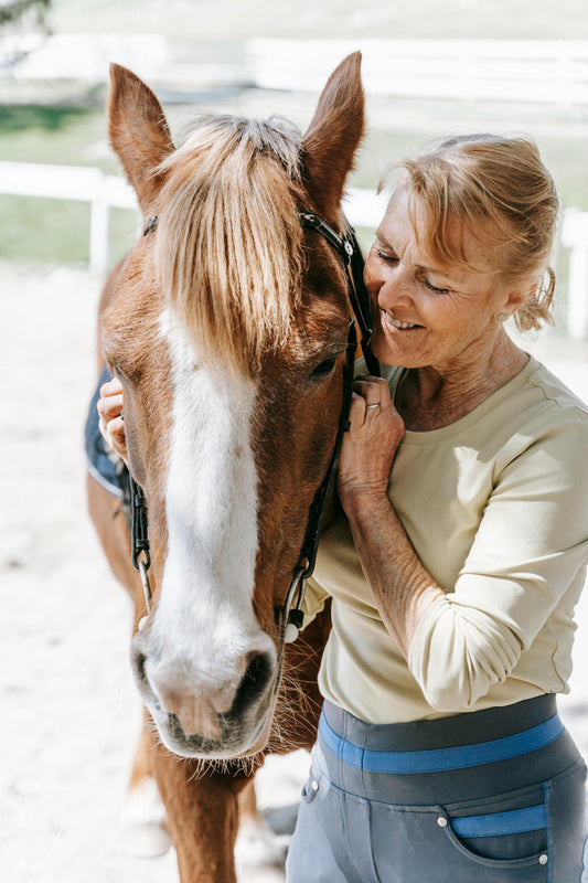Prendre soin d’un vieux cheval : clés pour une retraite sereine