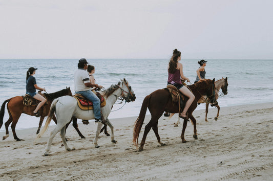 Le cheval en été