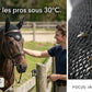 Bonnet anti-mouches LeMieux noir protégeant efficacement le cheval au travail en été.