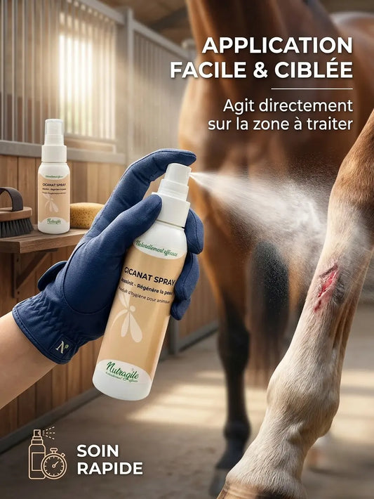 Application facile du spray cicatrisant Cicanat sur les membres du cheval.