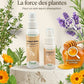 Ingrédients naturels Cicanat spray : thym, lavande et miel pour soin cheval.