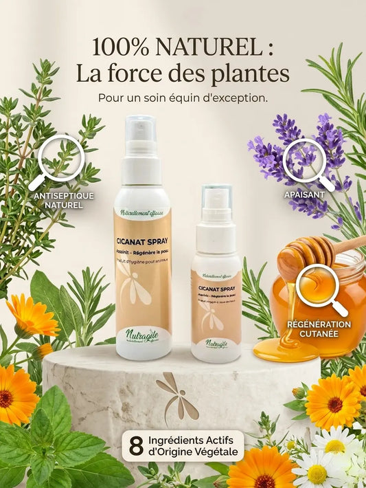 Ingrédients naturels Cicanat spray : thym, lavande et miel pour soin cheval.